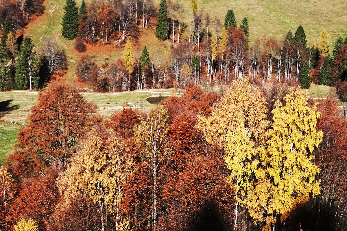 Autunno sul Monte Grappa
