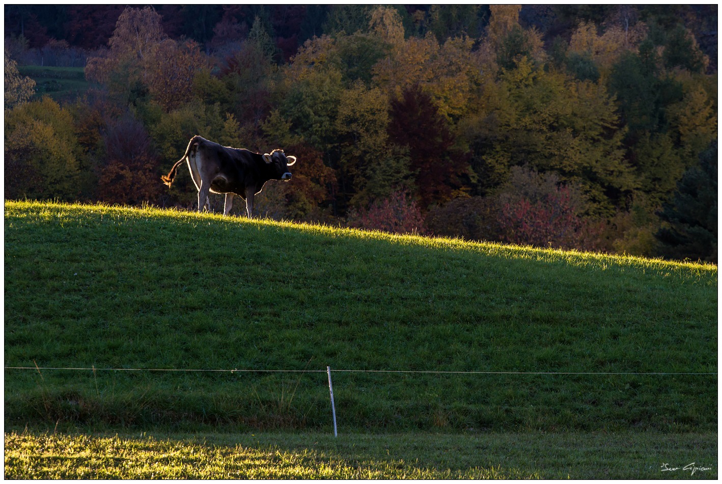 Sul filo della luce.