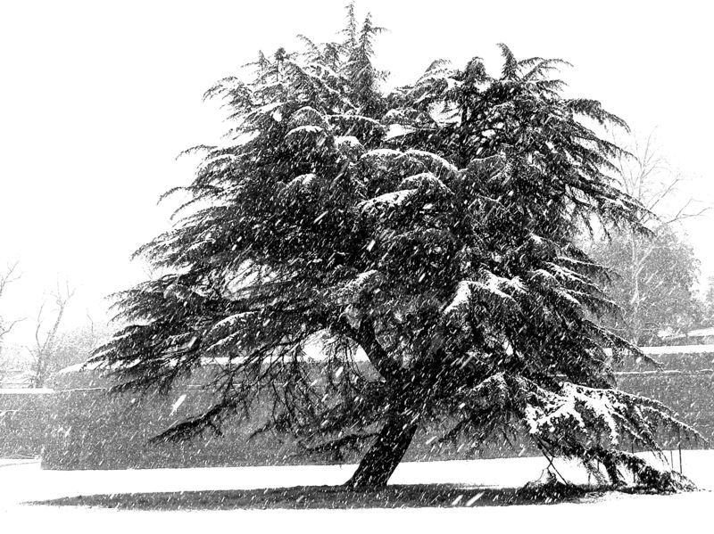 Neve sotto gli spalti delle Mura