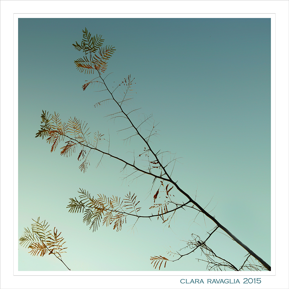 Minimalia... autunnale.