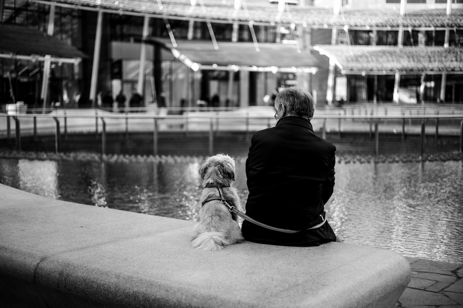 Leica Monochrom, Summicron 50 "Wetzlar"
