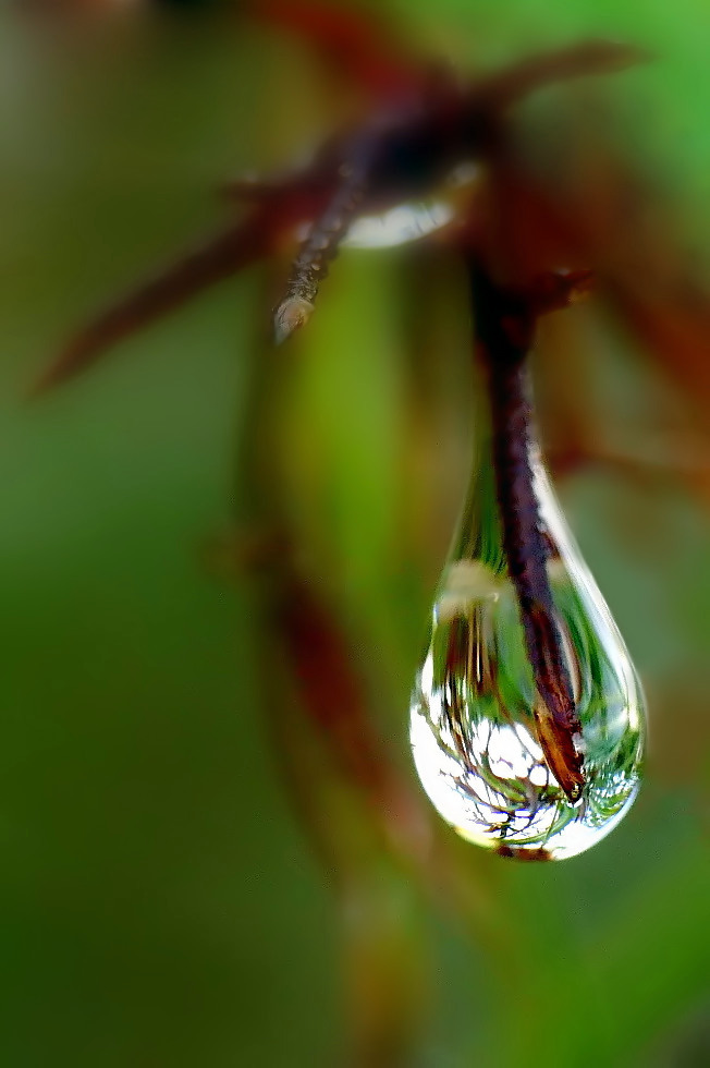 *** Lampadina o Mongolfiera ***