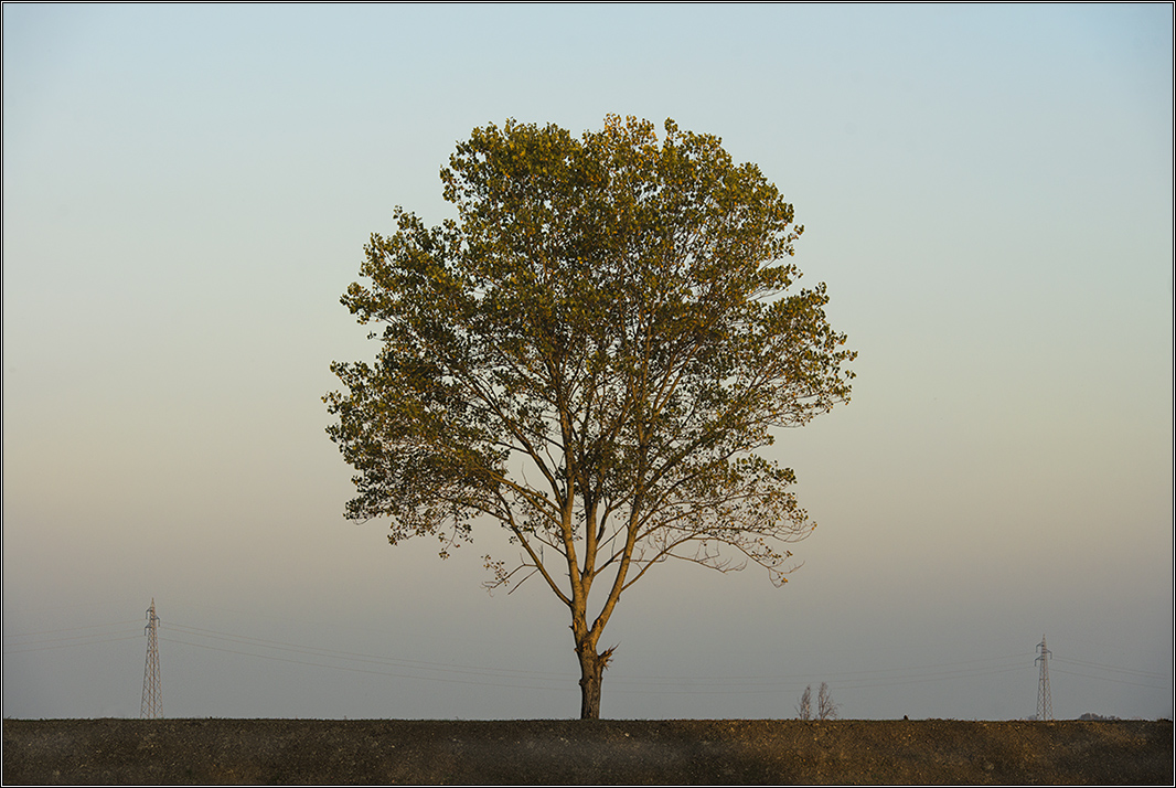 Il pi� alto di tutti