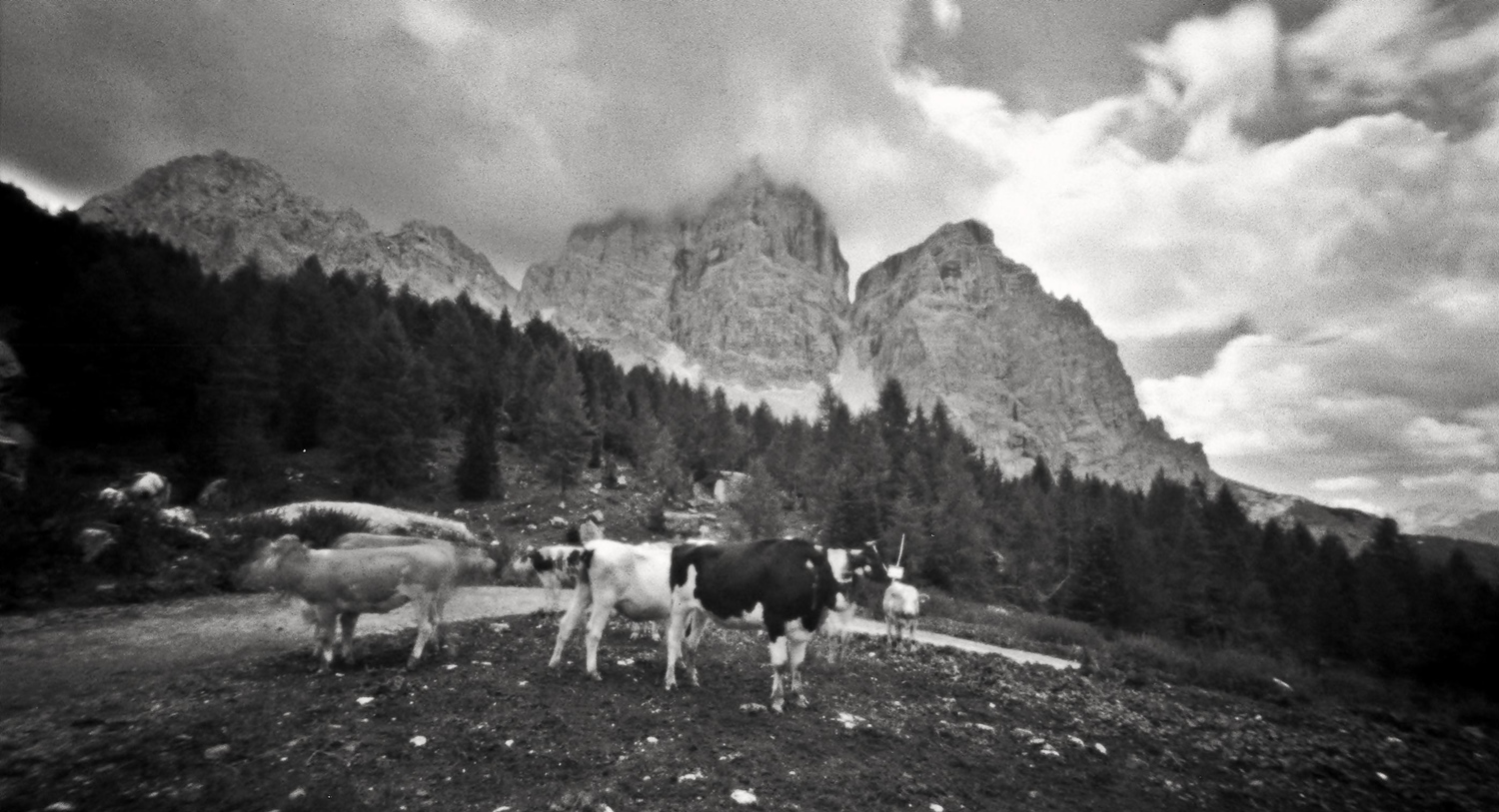waiting the transhumance... cows & clouds ;/) pinhole