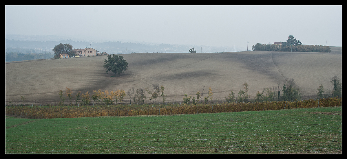 Campagna della Vallesina