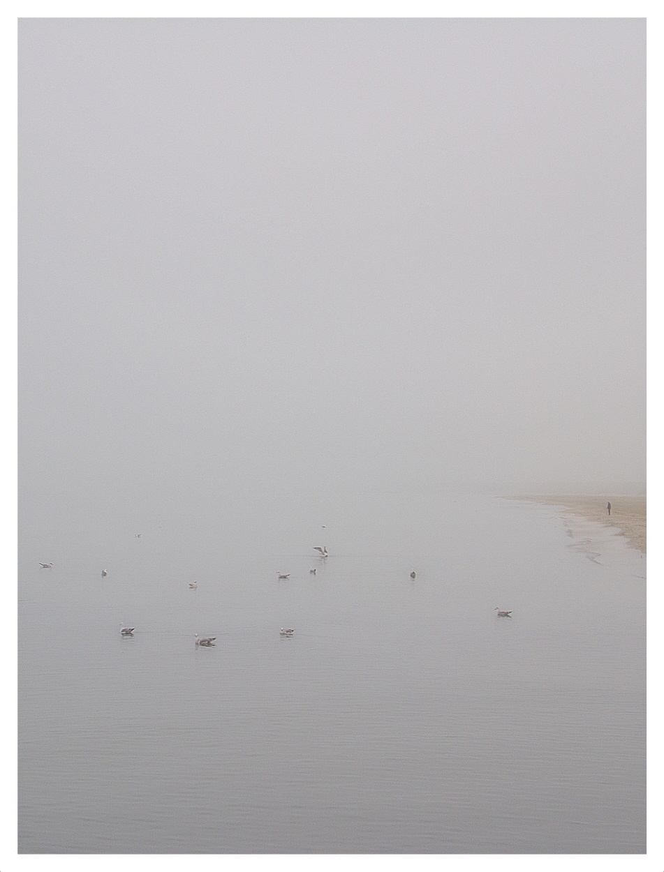 .barriera nebbiosa e calma piatta.