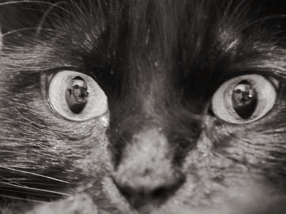 Primi scatti e non ci capisco nulla