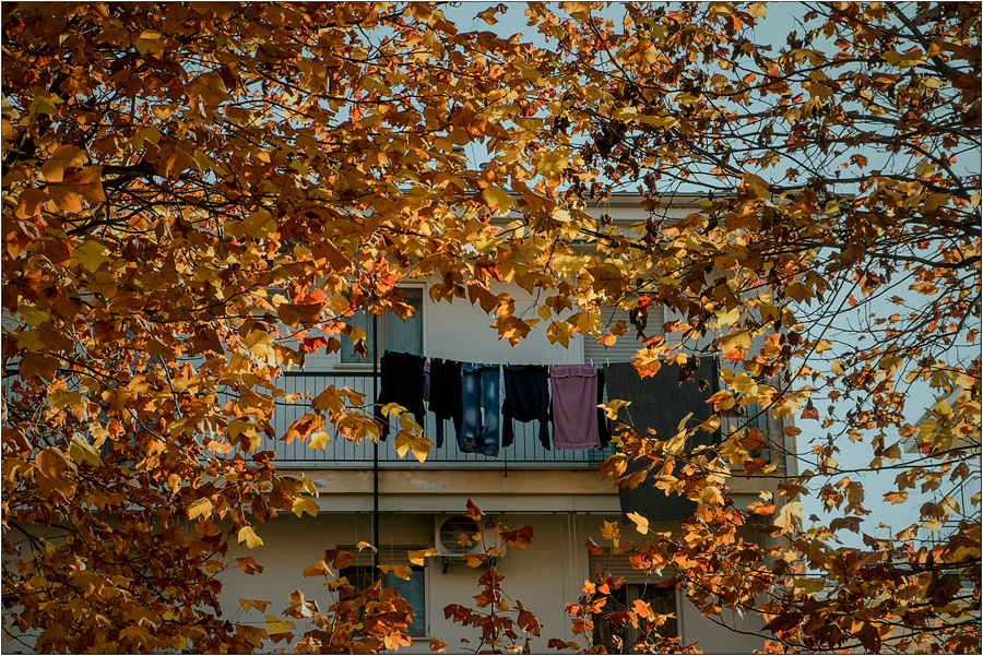 Si sta come d'autunno...