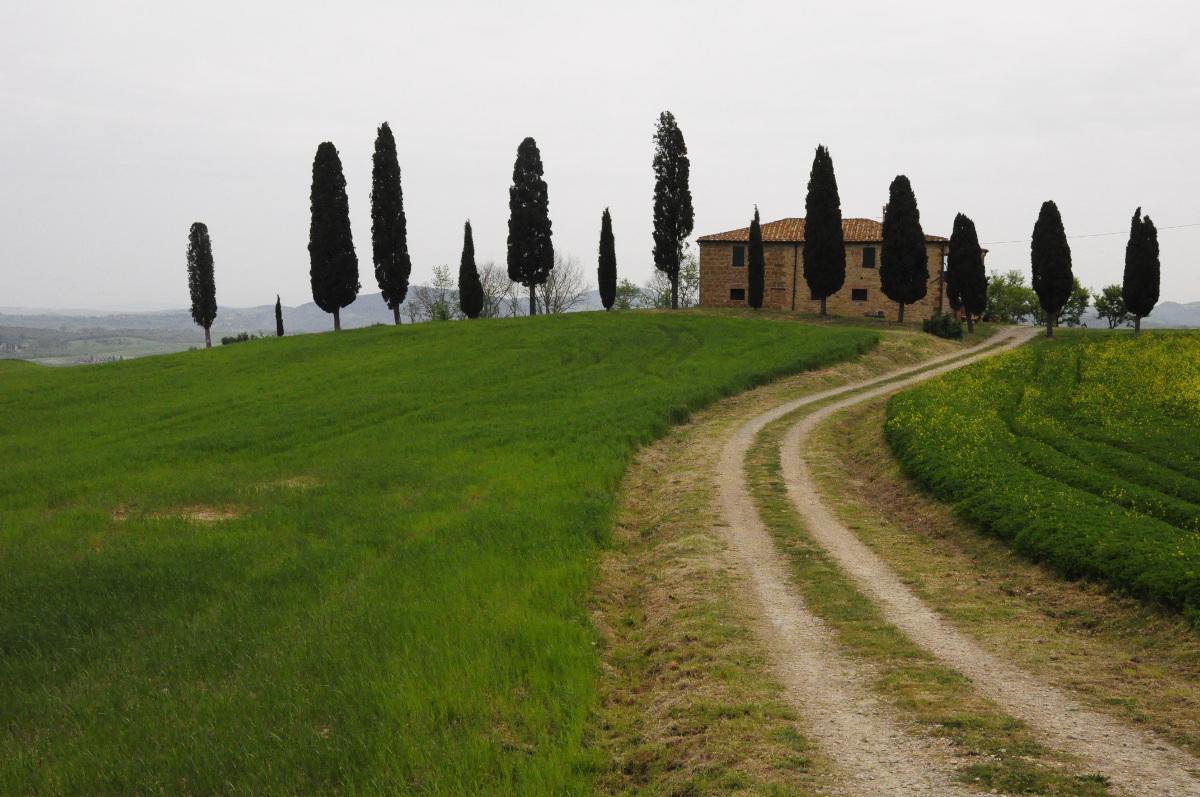 PAESAGGIO TOSCANO