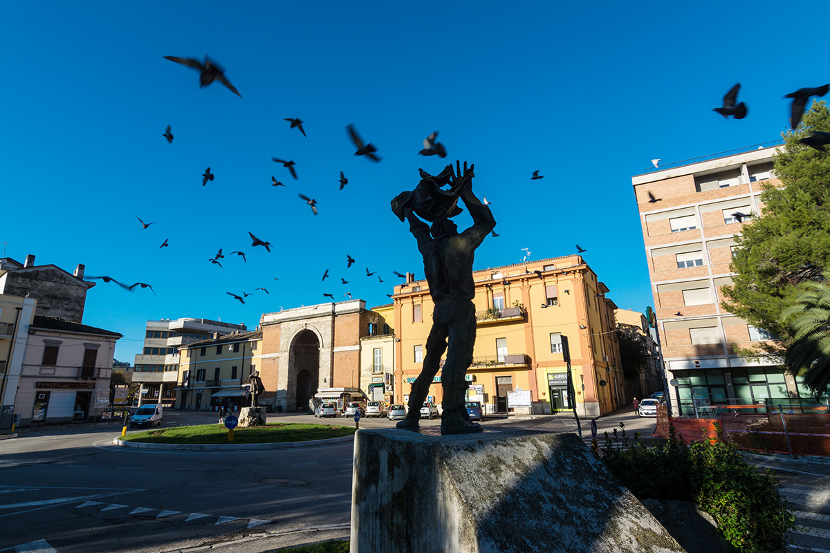 La carica dei piccioni