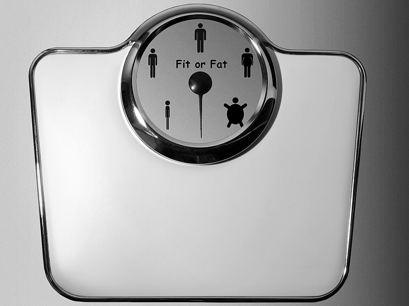 Fit or Fat