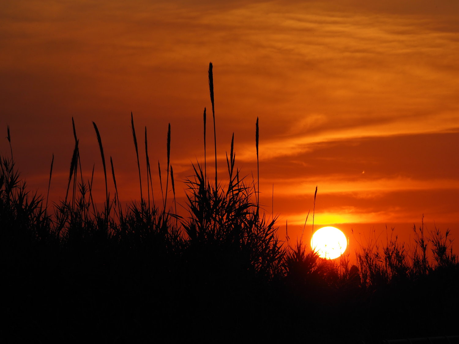 Tramonto a Torre Guaceto