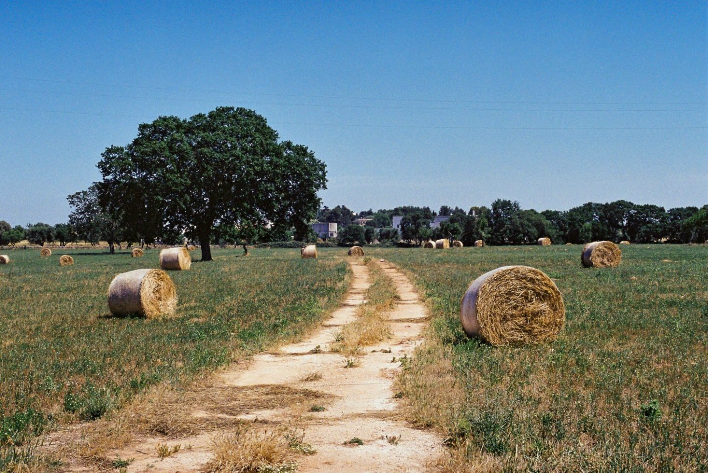 Country road