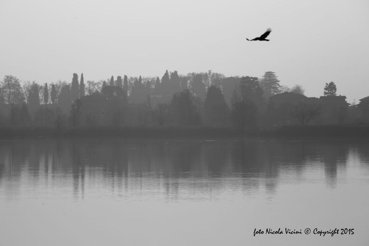 le ali della Libert� (2)