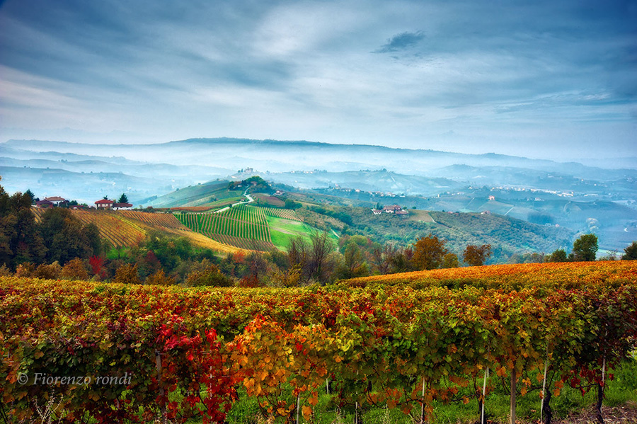 Langhe