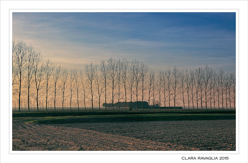 Un sereno inverno...