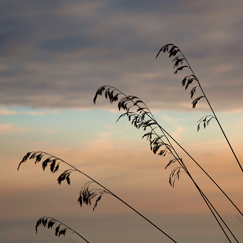 Aspettando il Domani