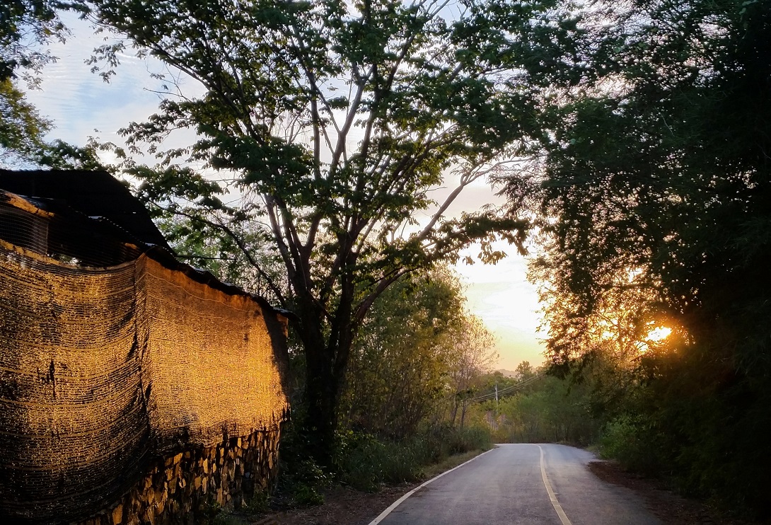 Doratura non duratura