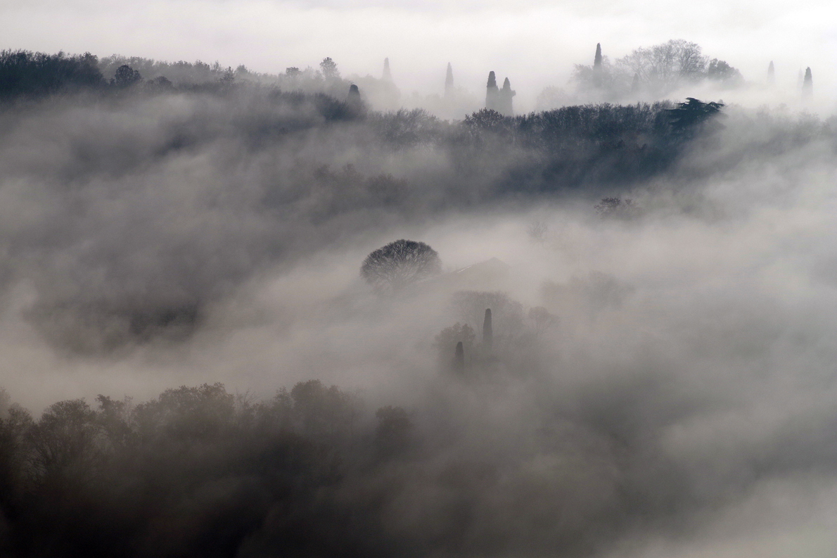 Nebbie sui Colli Berici