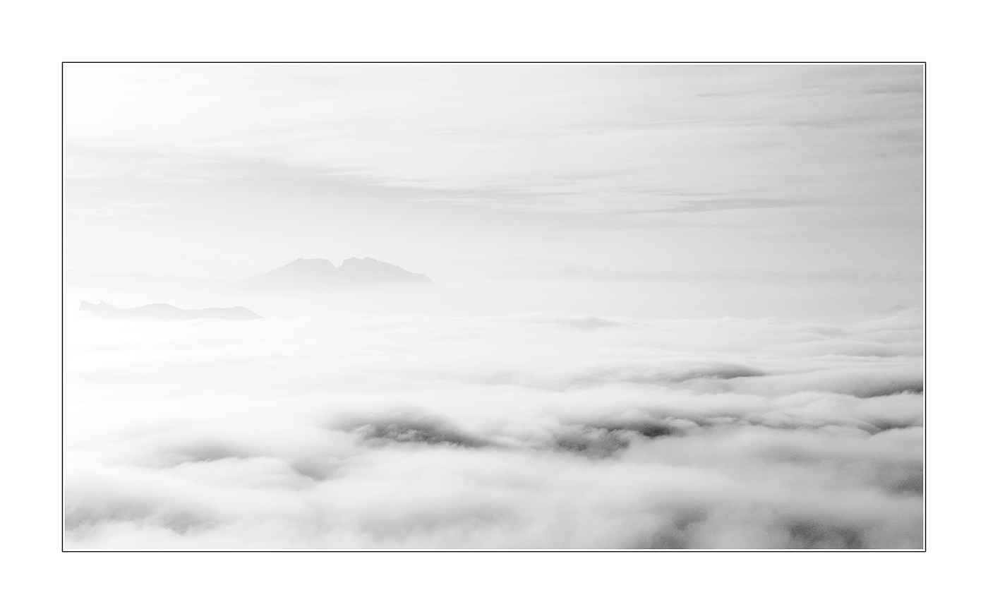 Contest n� 409 Free4U