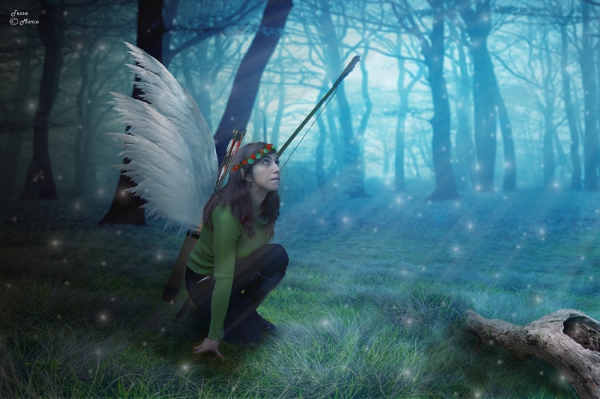 Elfo in assetto da guerra