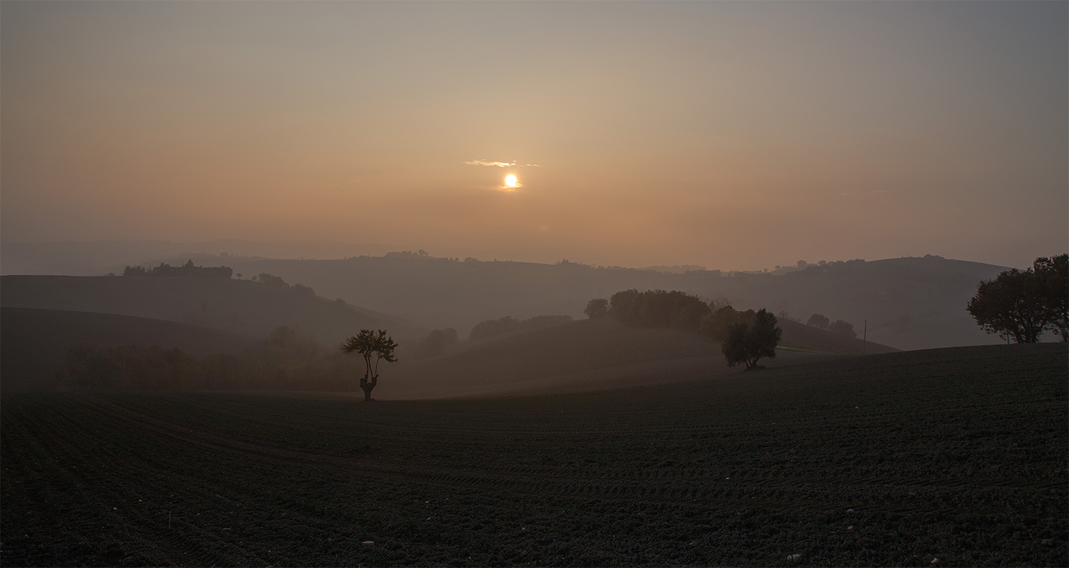 ......che peccato.....