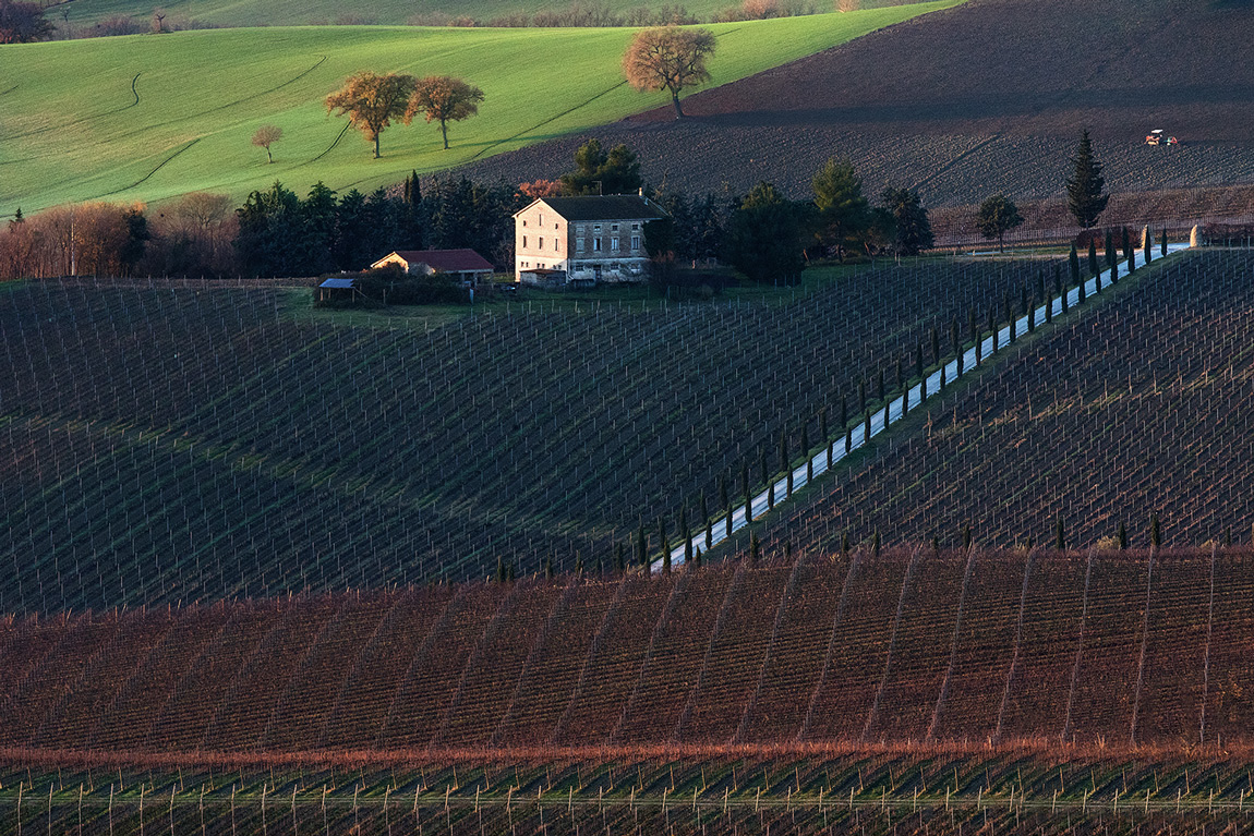 goood morning forum and happy new year