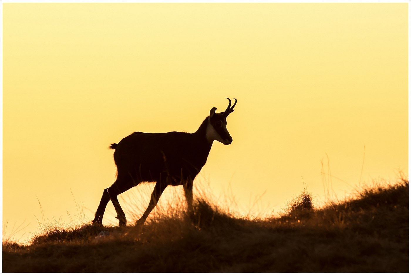 Nella luce del tramonto