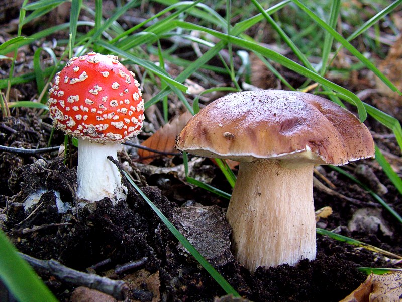 Il cattivo e il buono...