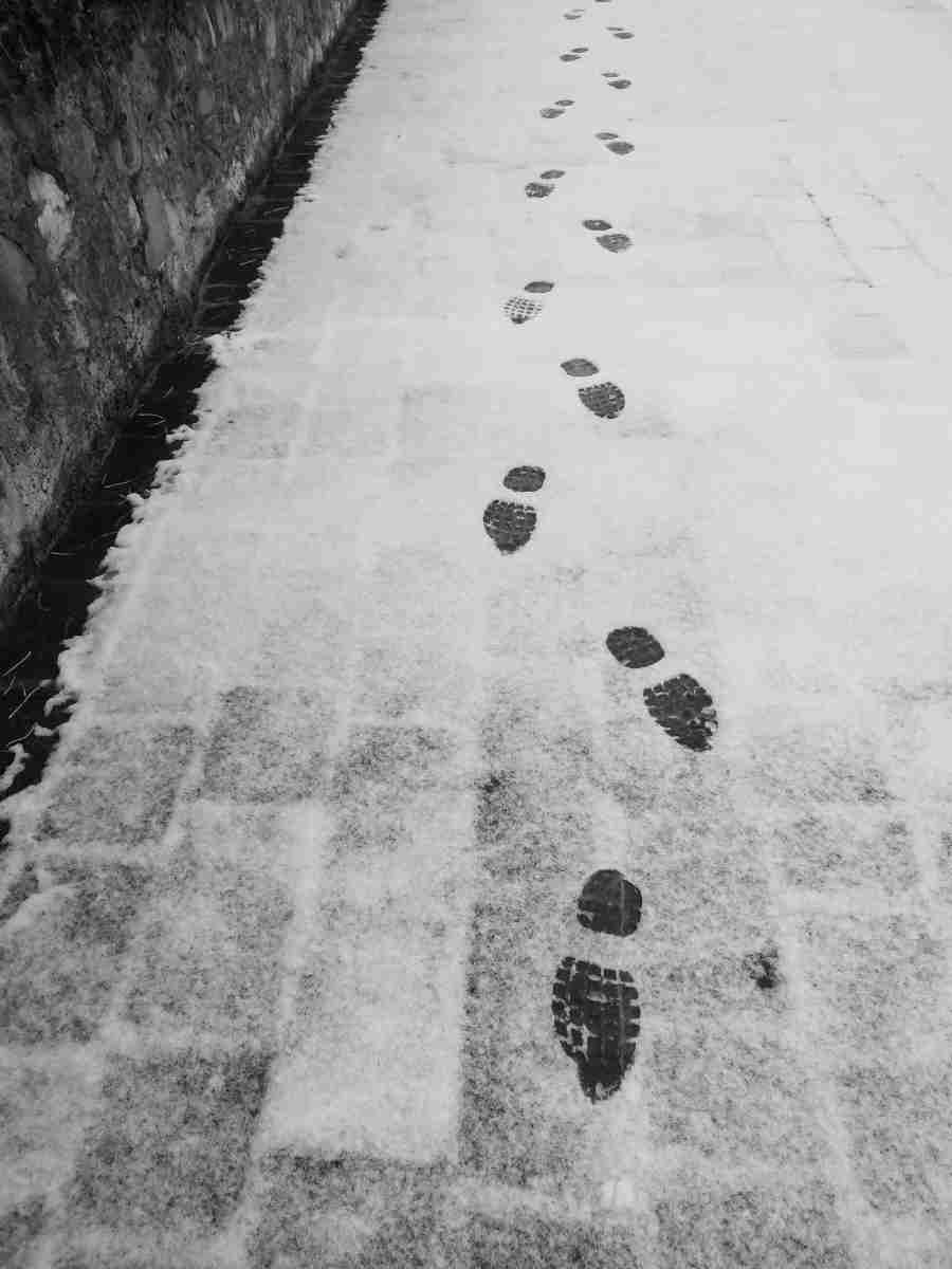 Impronte nella Neve