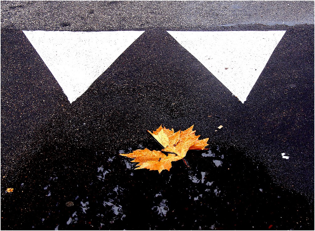 Malinconico autunno...urbano