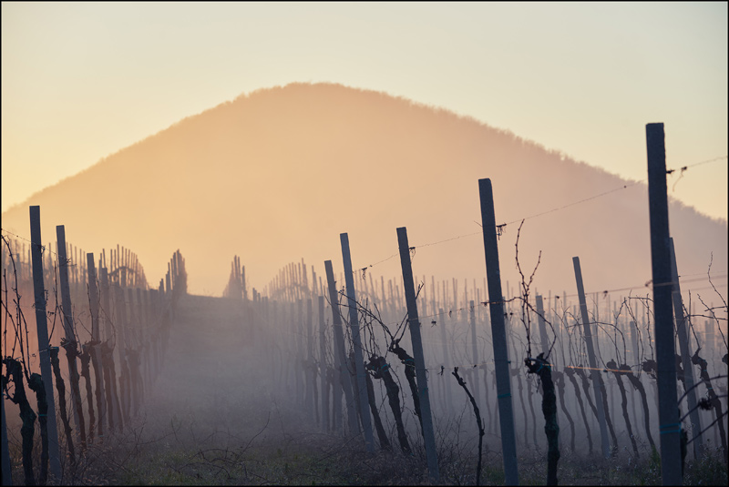 Colli Euganei 2016010602