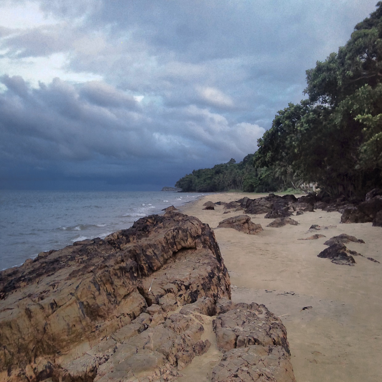 Le indicazioni della natura...