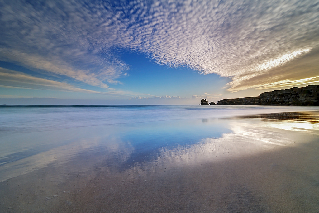 Una grande farfalla ..