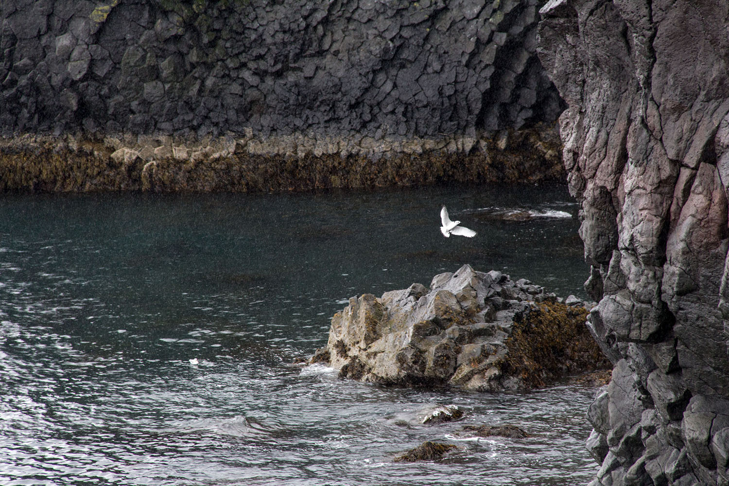 Voliamo nel silenzio