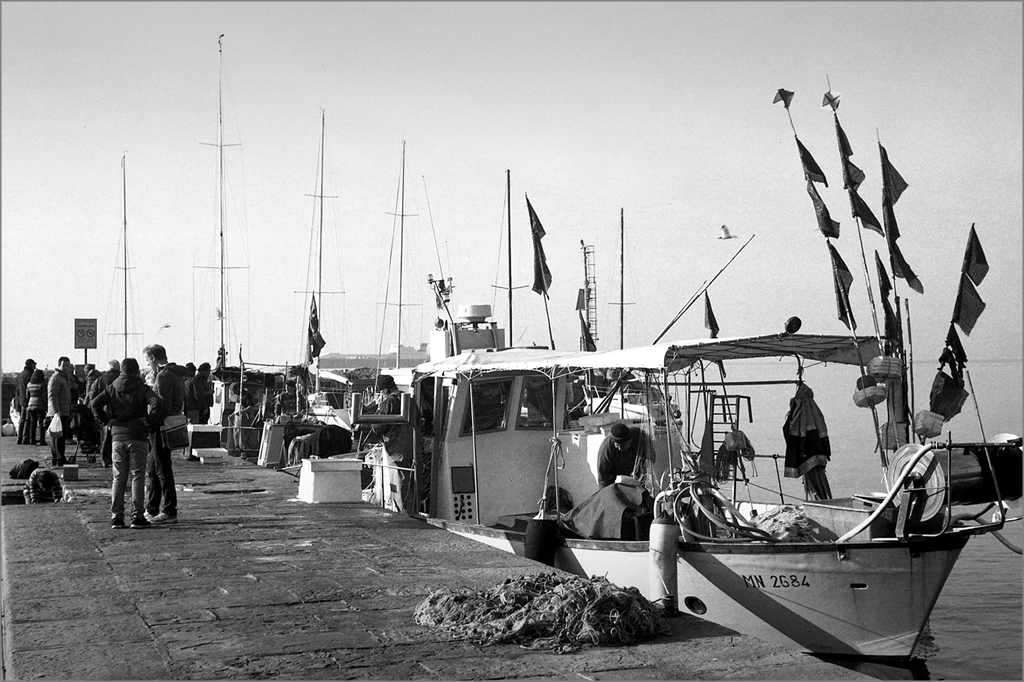 Trieste Barcola img.196