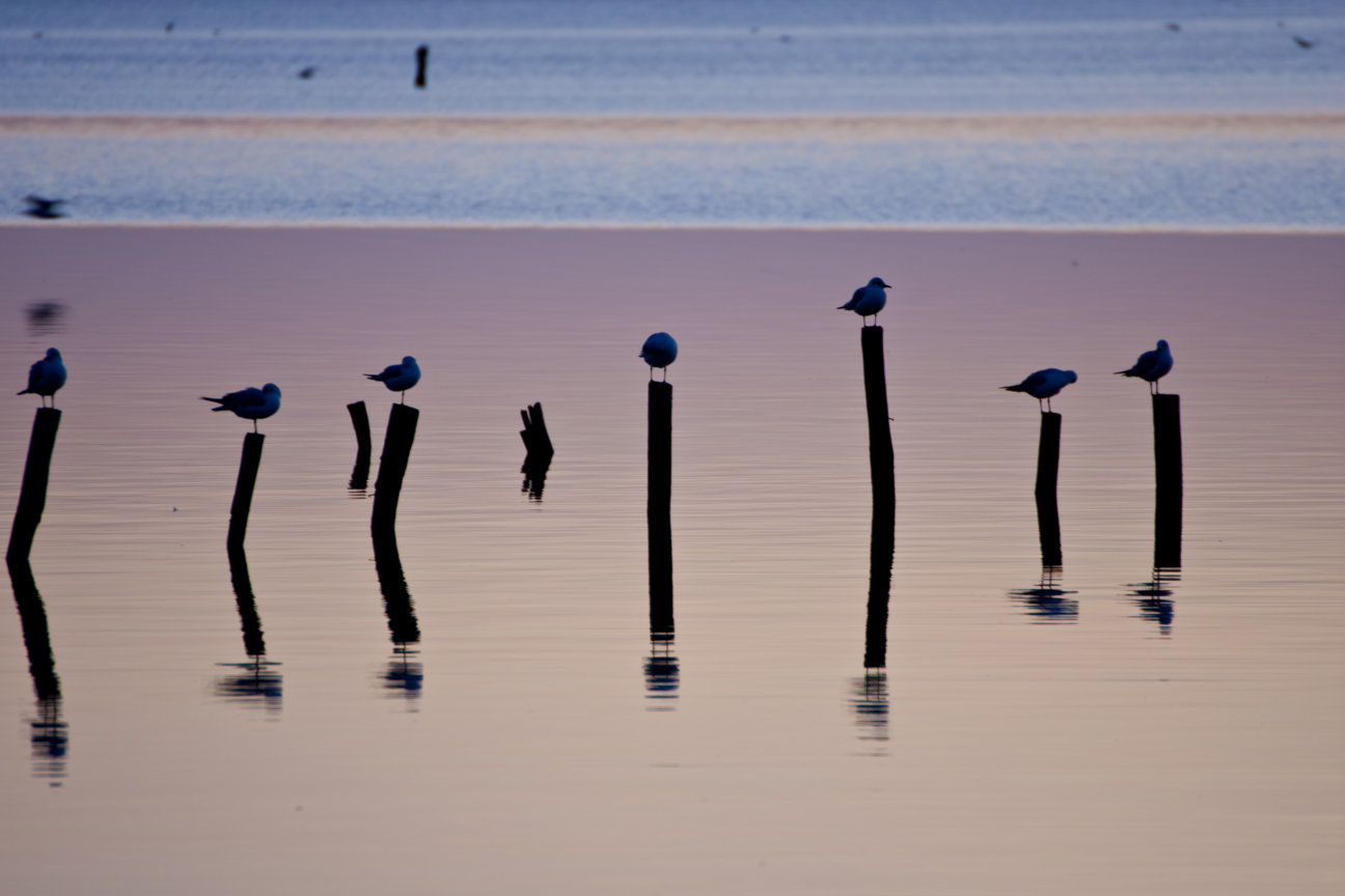 Tramonto a Massaciucoli