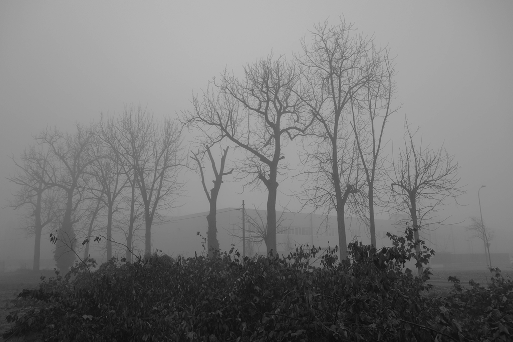 In attesa della sera