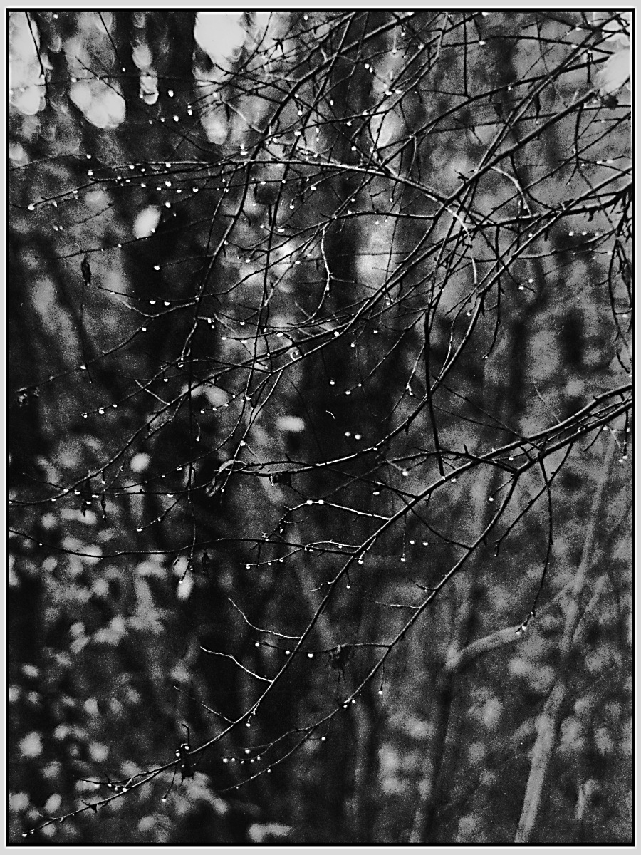 Lacrime per la terra!