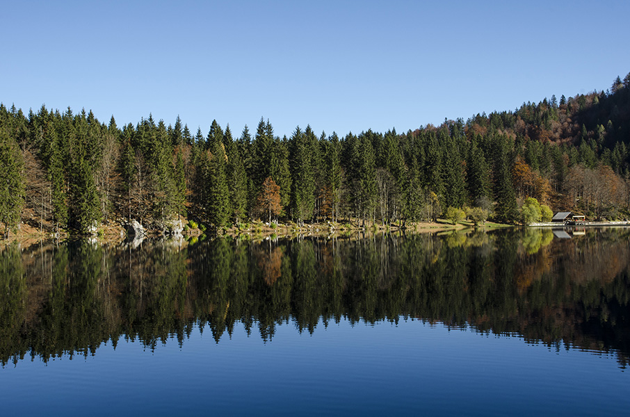 la magia dell' autunno