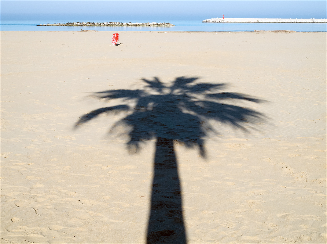 Palma