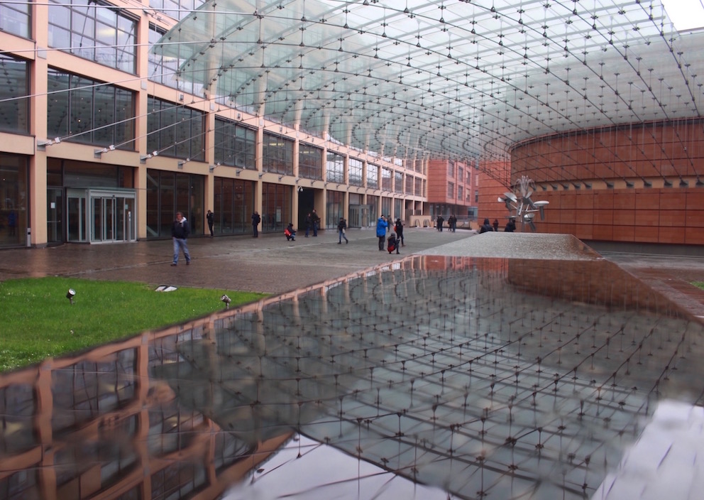 La perla nell'ostrica