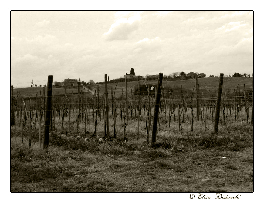 Paesaggio seppia!
