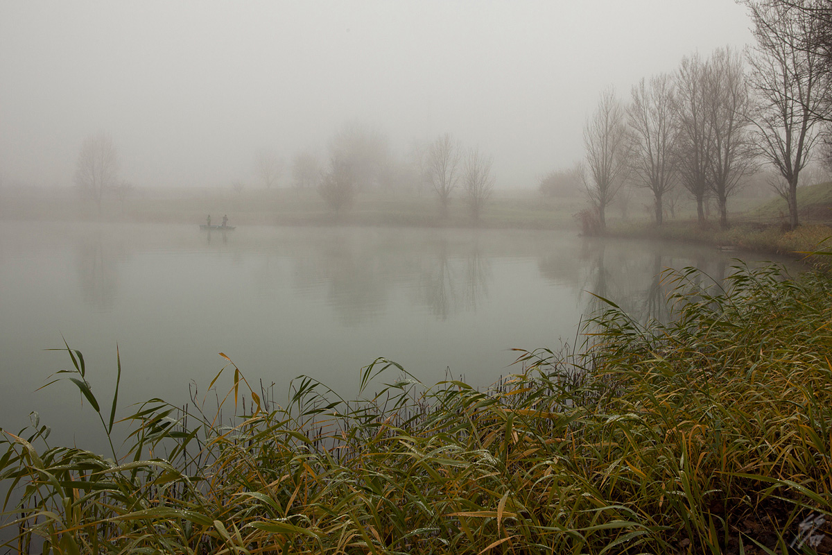 ..fog on the lake..
