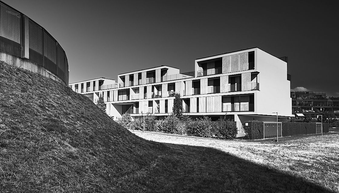 Prove bianco e nero 2