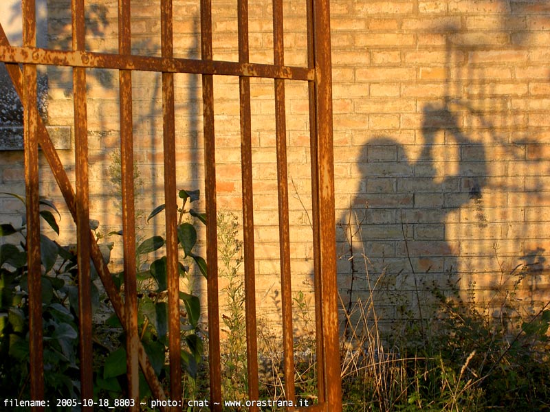 2005-10-18_8803 - tommyboy