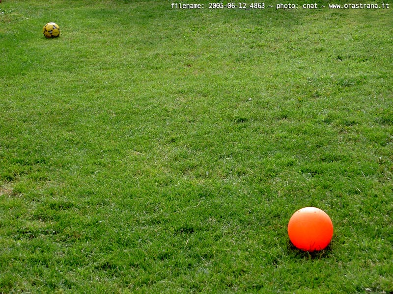 2005-06-12_4863 - sant'agnul�ttu