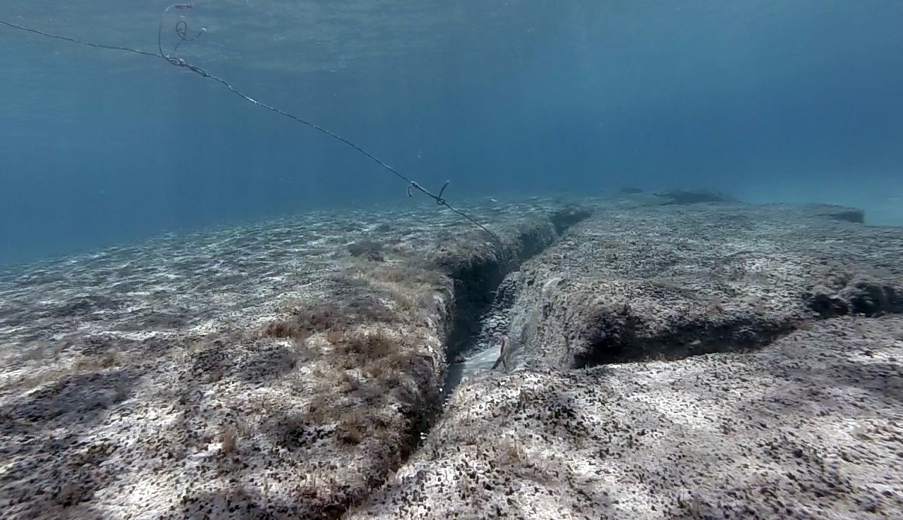 Scoglio delle mie brame...