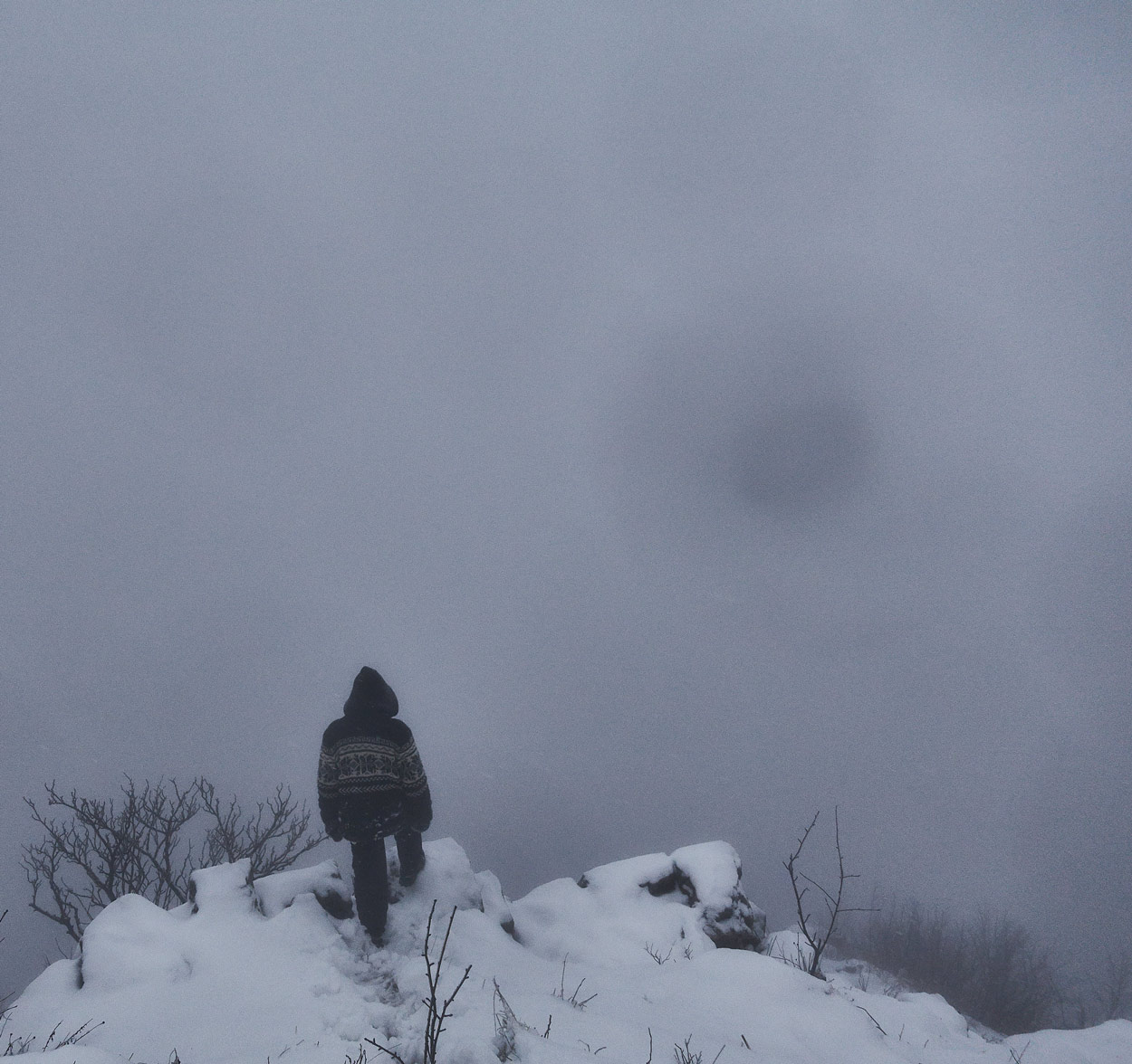 Laerte above the mist