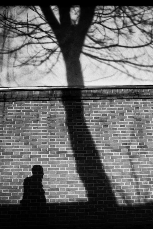 Albero_1